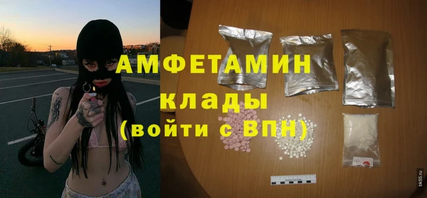 ALPHA PVP Гусев