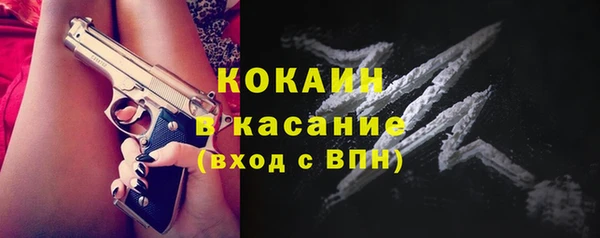 соль ск Алексин