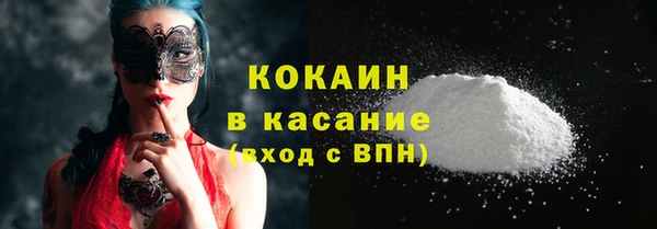 соль ск Алексин