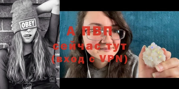 соль ск Алексин
