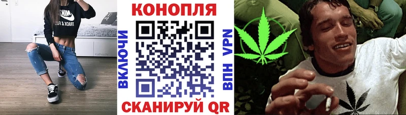 Канабис конопля  купить  сайты  Всеволожск 